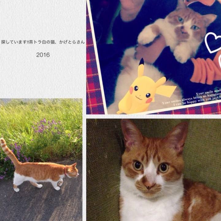 Da8fd372 9afc 4fbe a7e0 29f03a475b71