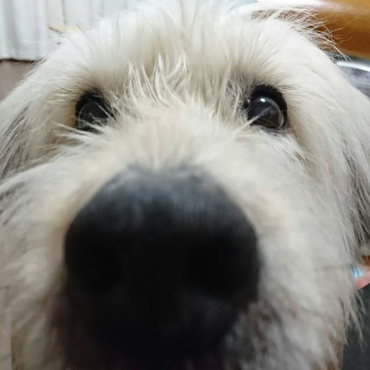 Da903cd5 0154 4348 a21b 77e5ae8a6bf2