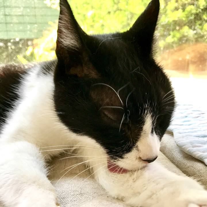 Da904499 5cda 4618 ad7d 4d7804c4e3f6