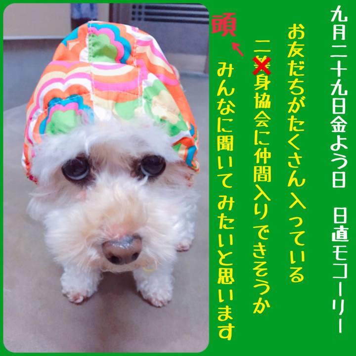 Da90b55e 569a 4b16 a584 9c83a0037839