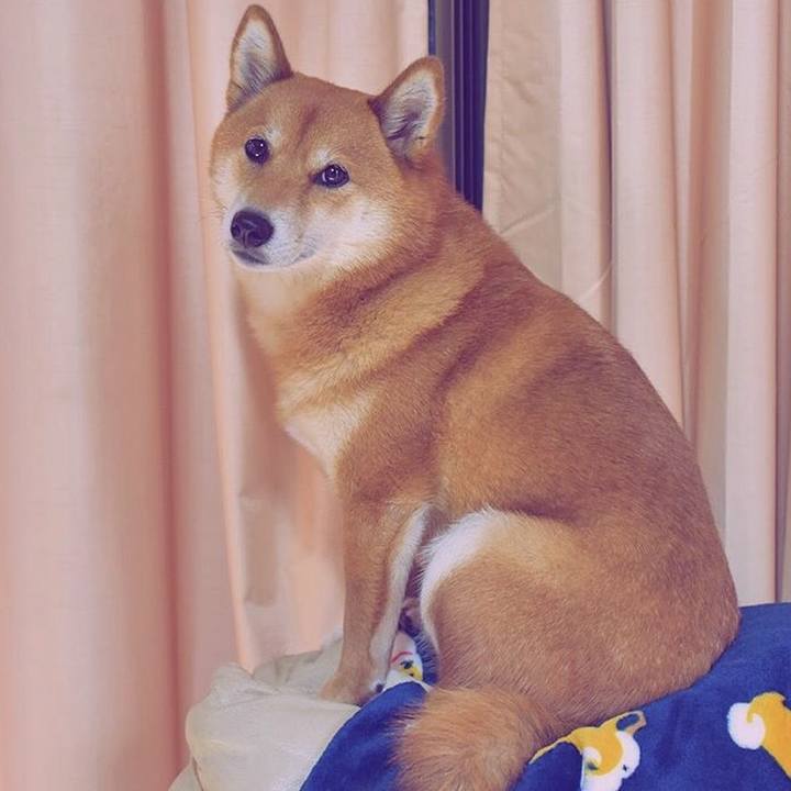 Da90fca7 f183 4763 bd42 3182eeb5a7b4