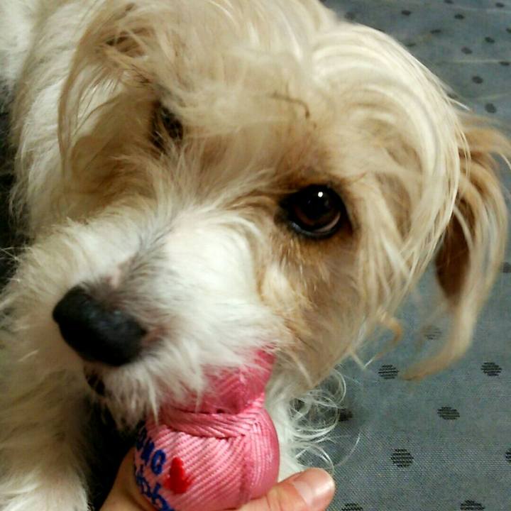 Da949d1a 7b3a 4f60 9606 77dedc5c9a0f