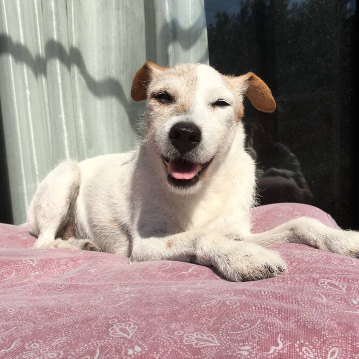 Da957f74 3f65 4141 aea5 9ecd86075ffd