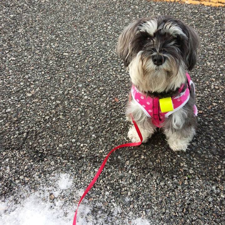 Da95932b 68ae 4b46 ae74 59b6602611d3