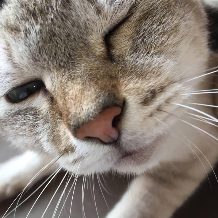 Da95b260 5ad7 4aff 8643 ea8b2ec87611