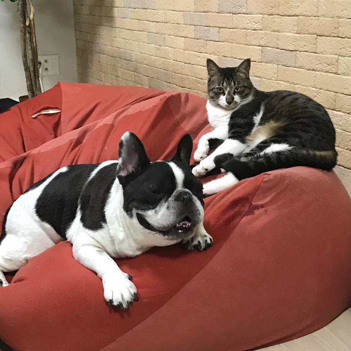 Da95c8f5 07ae 4c98 a9c6 c2efa347e2f2