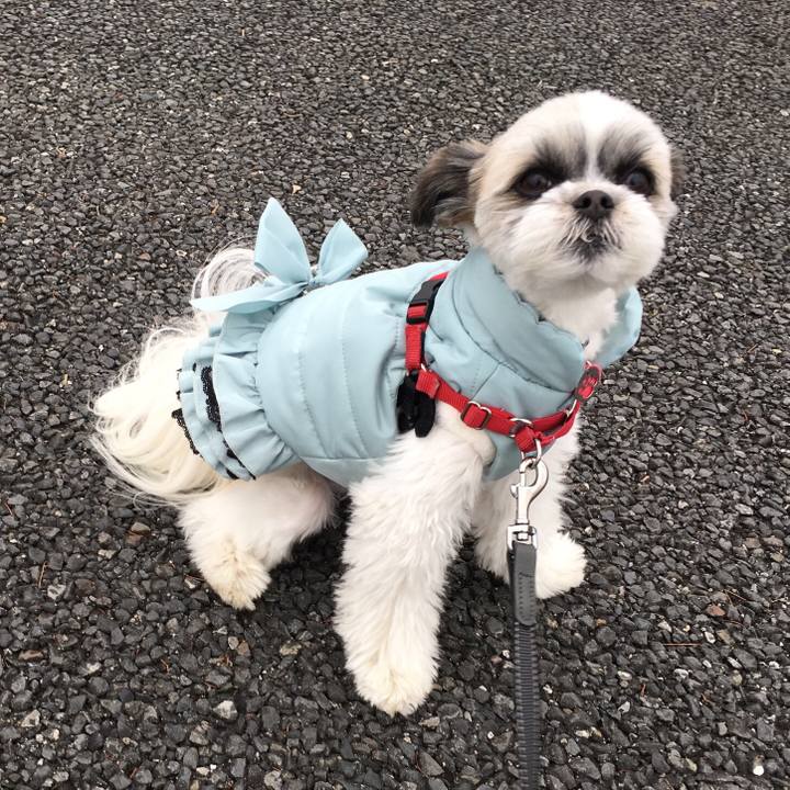 Da95dc7b 1fd0 4b8d 9b2c 2bf1877b499c