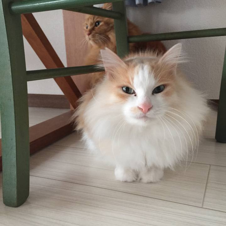 Da95e4f9 a169 46d0 b52d 1021f49d434d