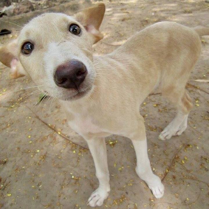 Da965db0 00ec 46cc 9ea8 0affa0504e7c