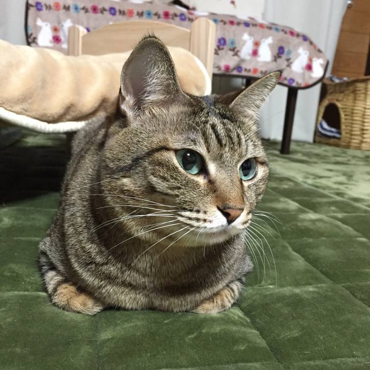 Da96bdbc 7f3c 42a1 91c2 b10c2f3120ba