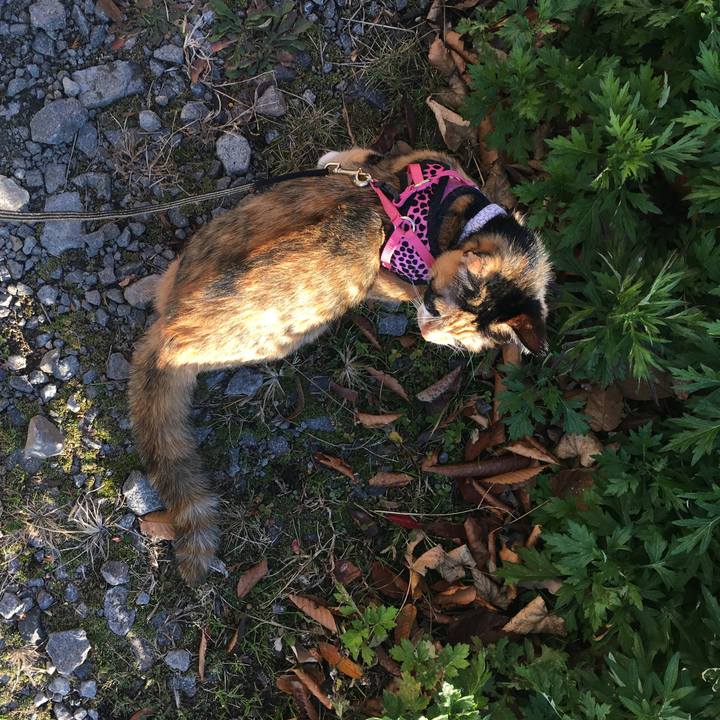 Da96c855 7cd7 49df b1a8 90a5e7a95507