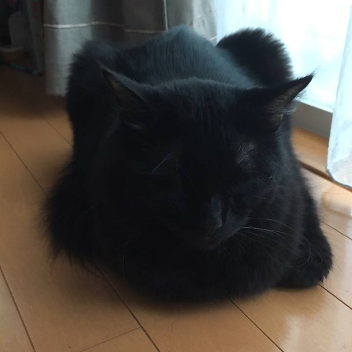 Da97fb6c b2e6 4861 8004 2e330a235c63