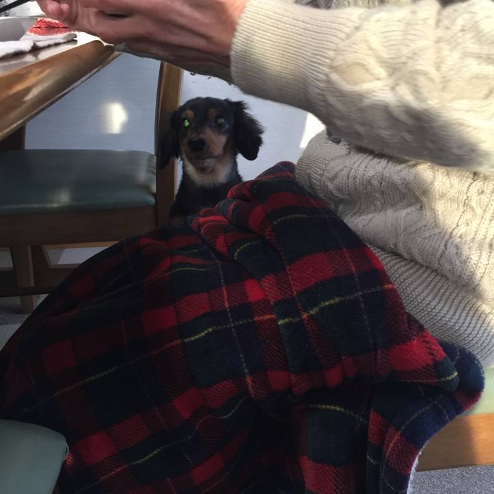 Da98488f 8cb2 44cb a771 0a88ffc8c506