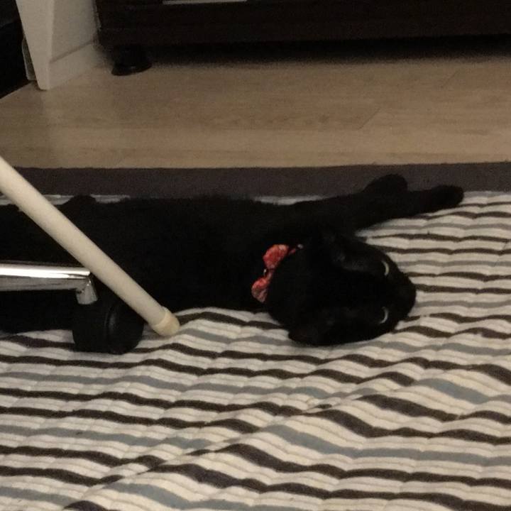 Da9a48ee 02ce 45d1 a815 d0e4ceeb84e5