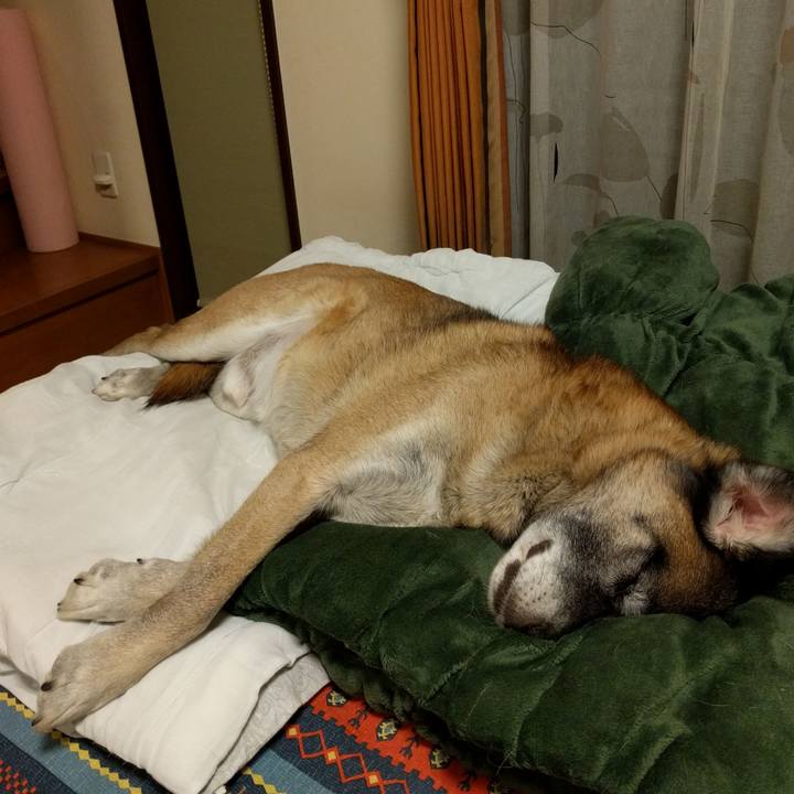 Da9a4c66 3c7a 4c4f b744 060cc04b2202