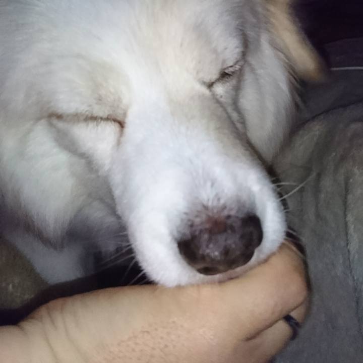 Da9a85ca e87b 48ba 8d4d fc6b9d4f9bd0