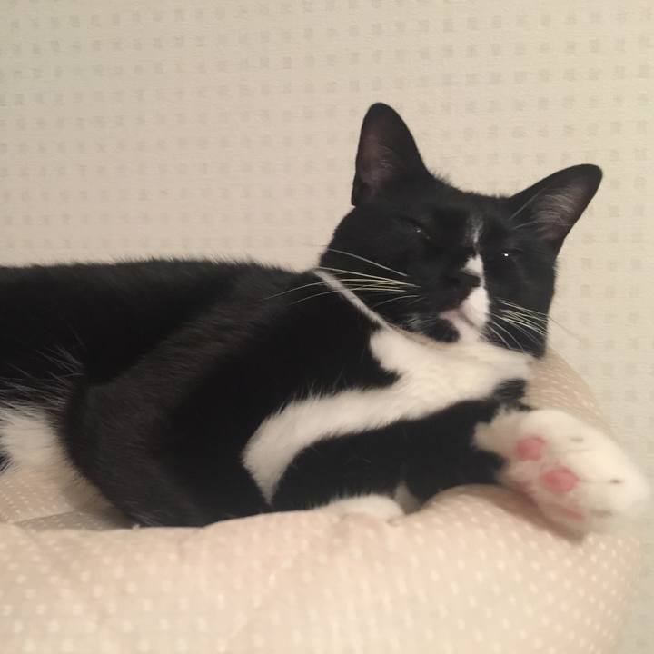 Da9adc42 9fb7 4fda 9b53 44c02b94015e