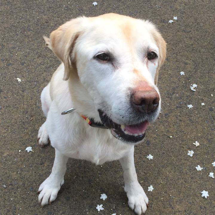 Da9b34af b11e 4c7b b523 294ab2c1bddc