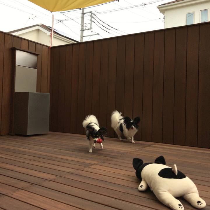 Da9bd084 434e 4805 9497 d8628c48f211