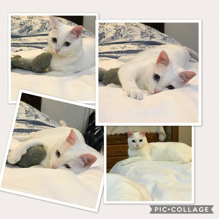 Da9c29d9 27d2 4187 a07f 73e5353a8521