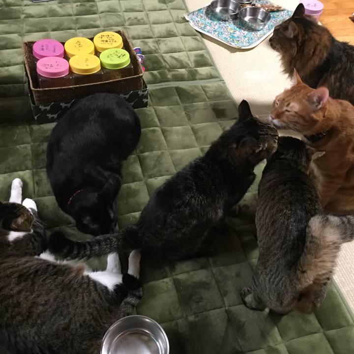 Da9cd8bb 45eb 4150 bff6 9e93cedb56d3