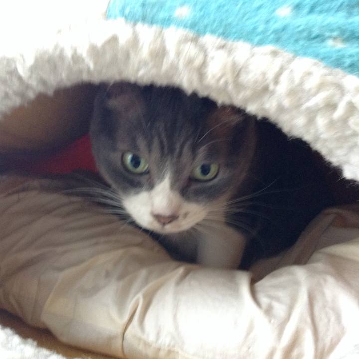 Da9d3e50 41fb 4def b3f6 11a5b6e94b88