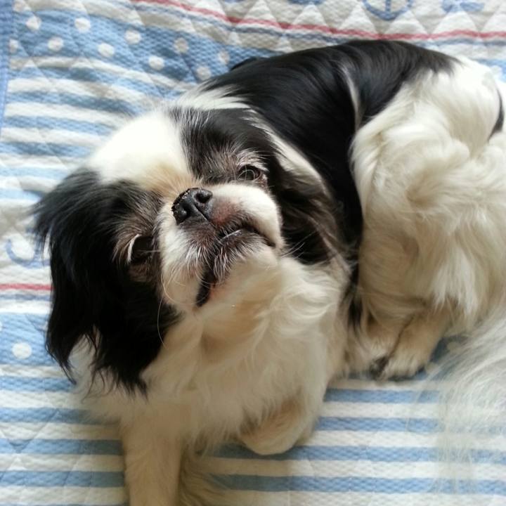 Da9d62fd 4ec1 42bc 82c5 bc0b8014347a