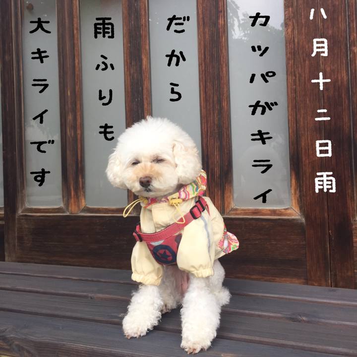 Da9e0344 30be 40d5 85f1 2cc18e3b131b