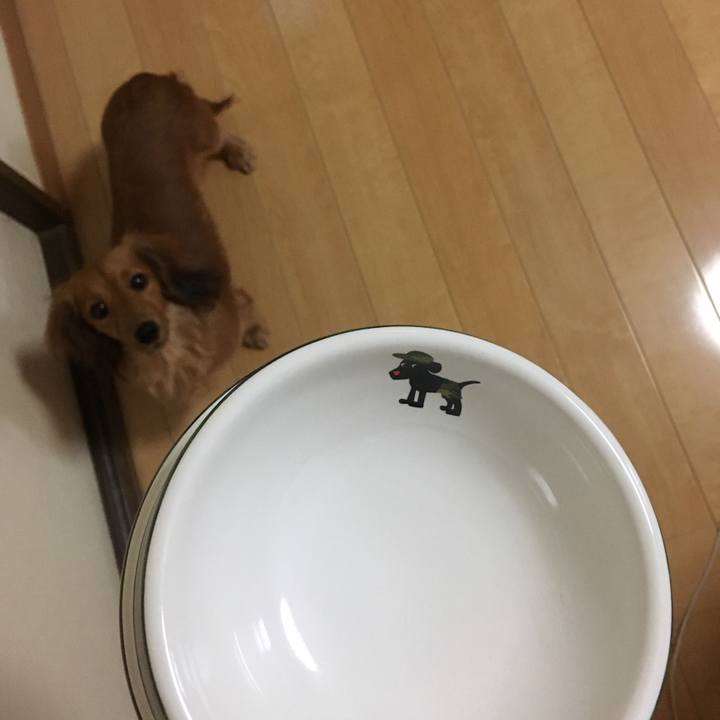 Da9e03d2 3acd 49e0 81f2 43f21df96936