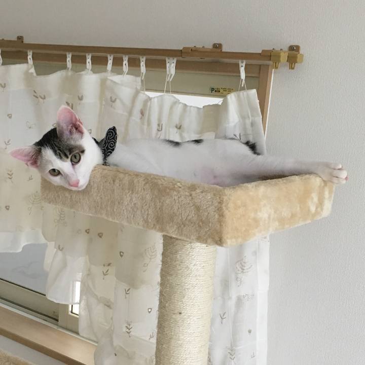 Da9e8728 7db3 4071 8366 5fd72c3b23da