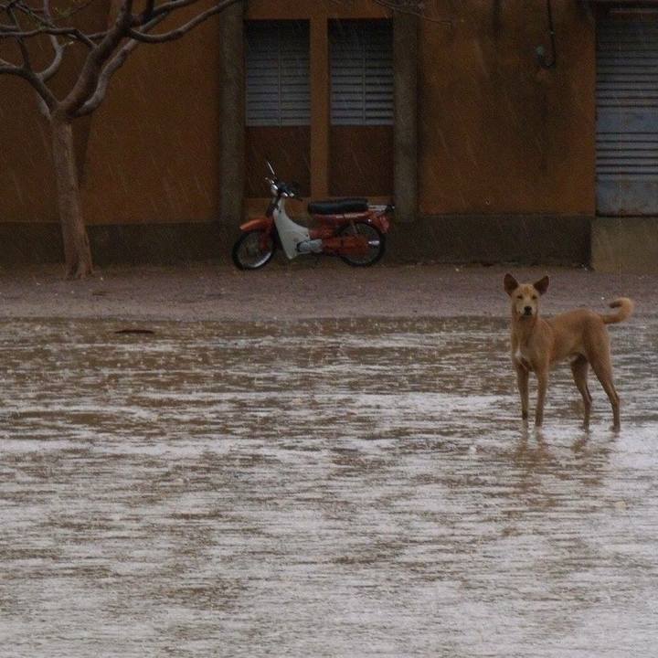 Da9ebfdb 2f42 42fc 90aa 2a5ce5e67696