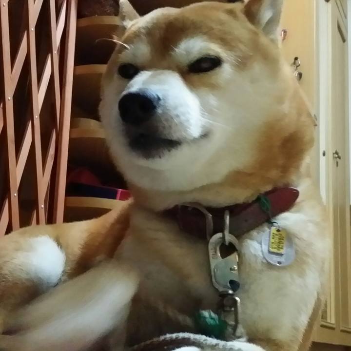 Da9f636c 5c9c 42f9 b47d 09564aac2e7a