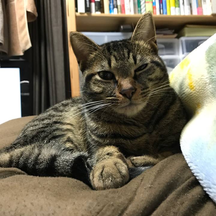 Da9f6f97 1ab8 4efd 81b4 aafe8af1fb44