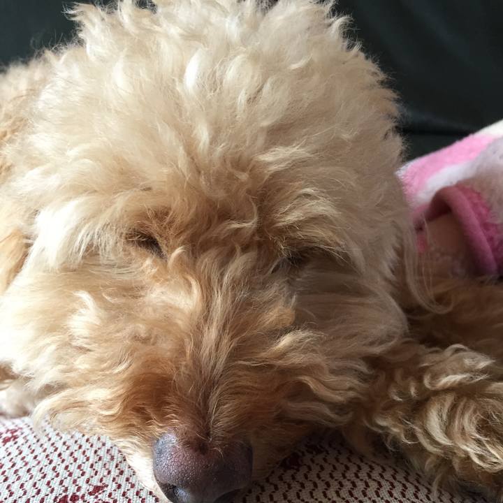 Da9f792f 7bec 4a9e 9d1b 1fee34c17b11