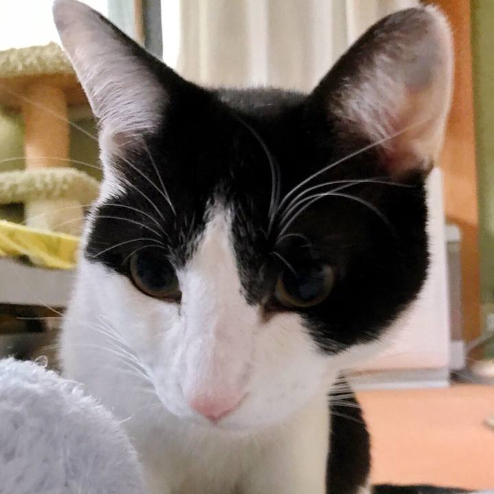 Da9f8fa1 01cc 46e9 a4dc 8a5d939b3132