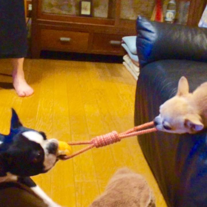 Da9f9ae4 fadb 4c47 8e9a 93540c722d64