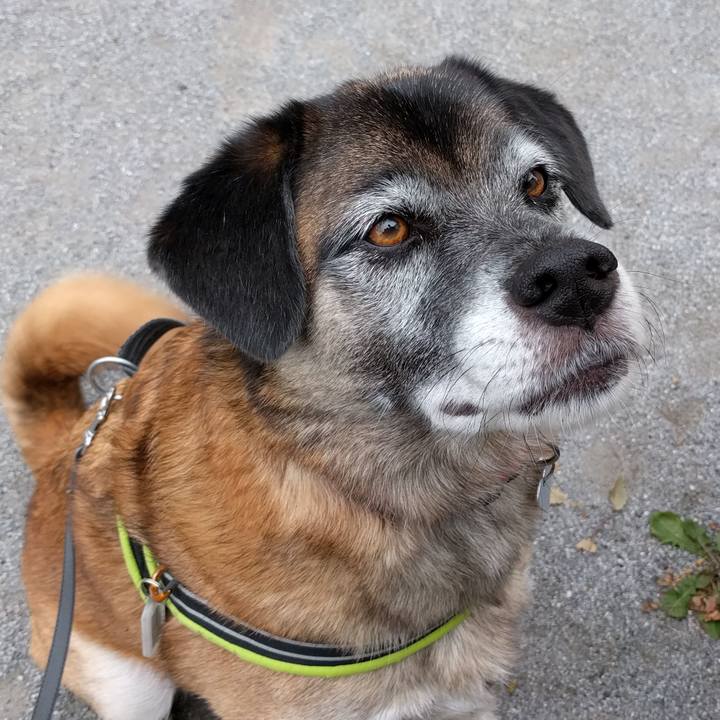 Da9fb27a d2bb 4f4d 9642 647ec06f7c5f