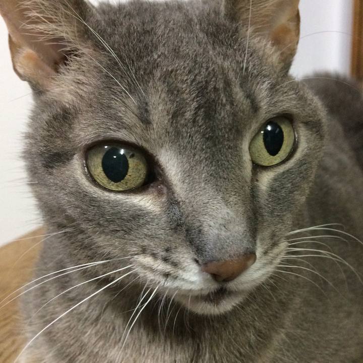 Da9fd90d 1dda 4227 ae07 1d3eb16fef88