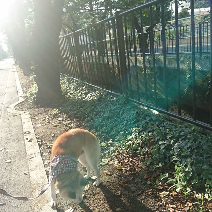 Daa0682f 6b83 433c b711 99deebc2522a