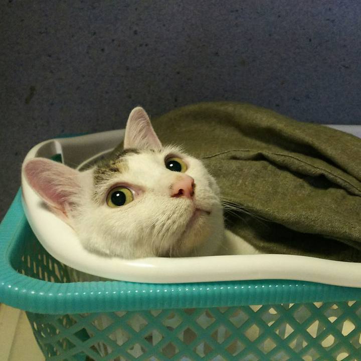 Daa1ce04 bd43 4779 b25b e0c8092d8010