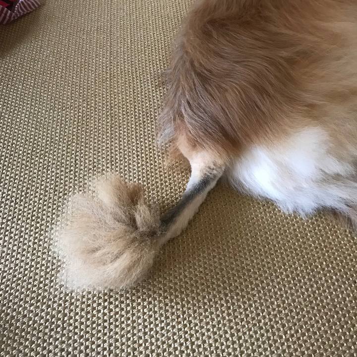 Daa253b2 b2d7 42fb 9c39 e3026d344041