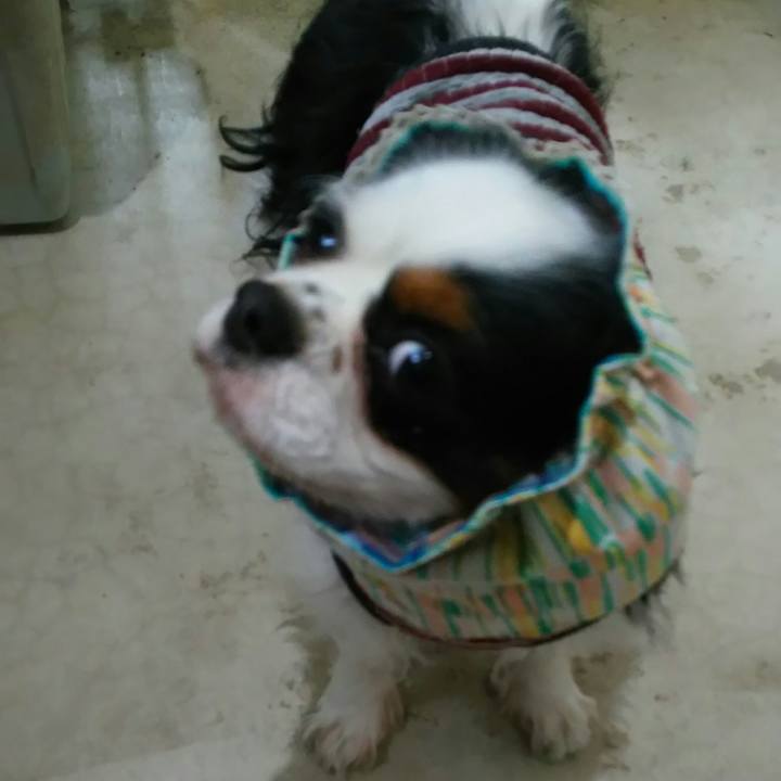 Daa28b32 cc88 406d b15a b5e1fee78cd7