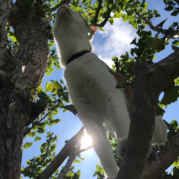 Daa2aff8 c869 4ef4 87a5 3c57795f2b4e