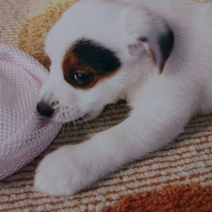 Daa32f27 21ba 4dba 9d85 f811ac4039ca