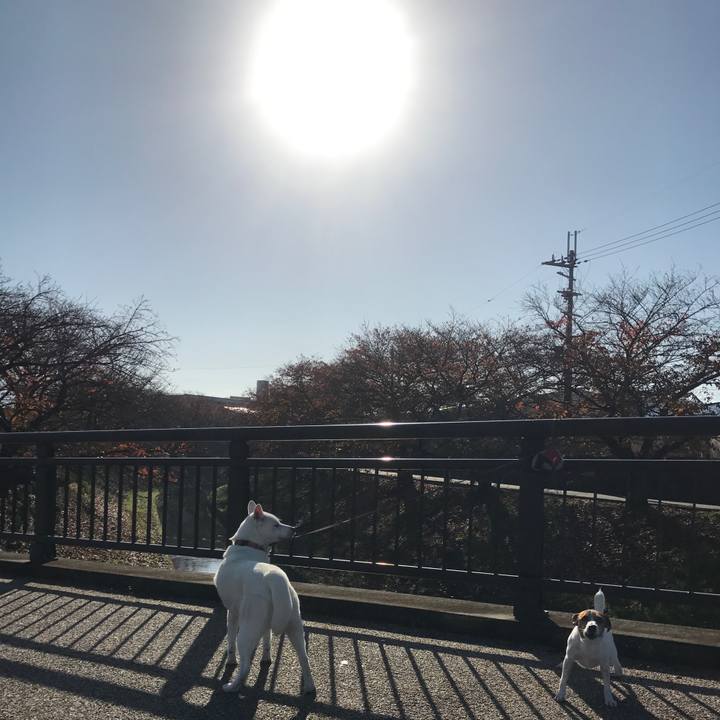 Daa35e95 f064 451d bc2b 3d3ae681aafd