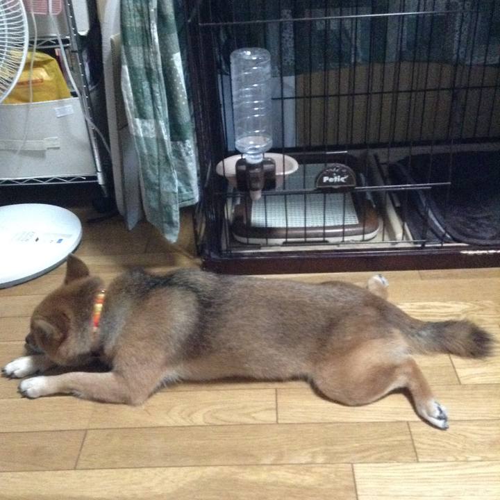 Daa37d9f 3036 469f b694 bd102e31bc80