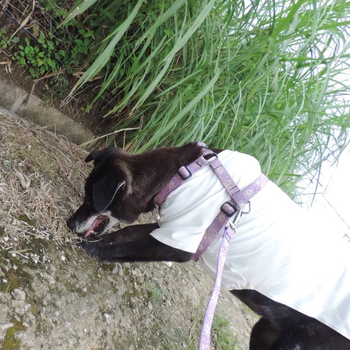 Daa38efa edb0 47d8 8a55 424557eda5d5