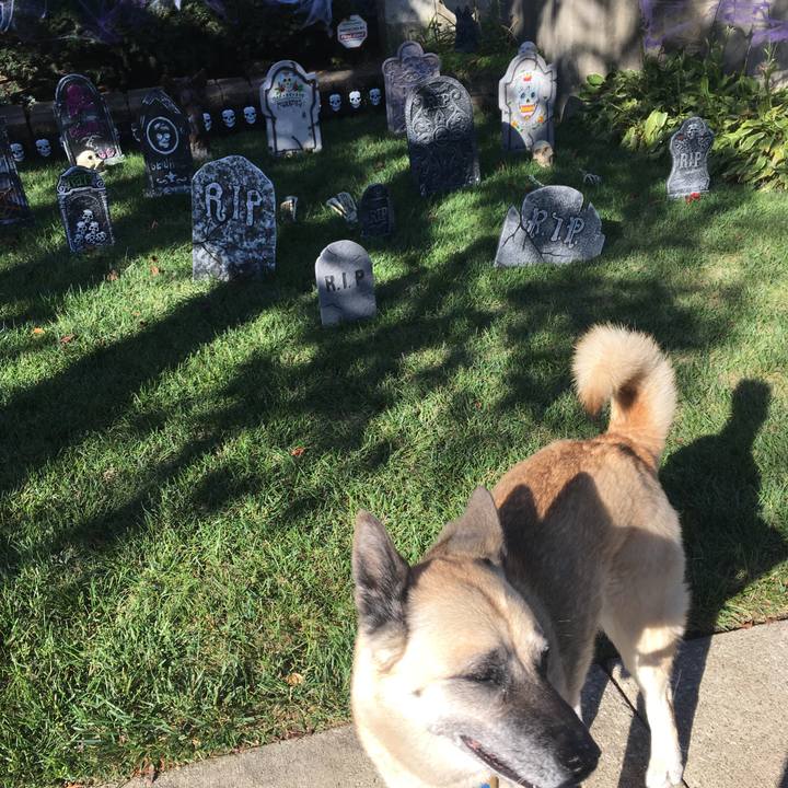 Daa40039 5cd5 4a2c b1bc 5a1611c18d84