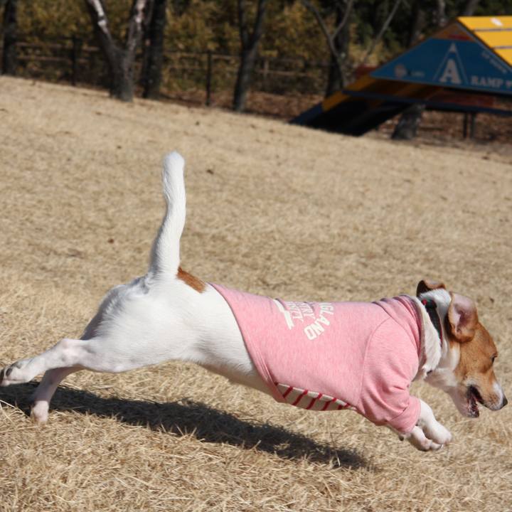 Daa479a2 8179 48bb bd44 5e6c813c9f56