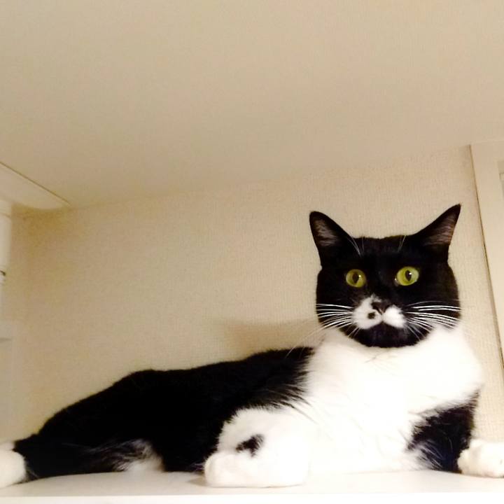 Daa4bd50 64c3 40e6 b808 bd510ed305f6